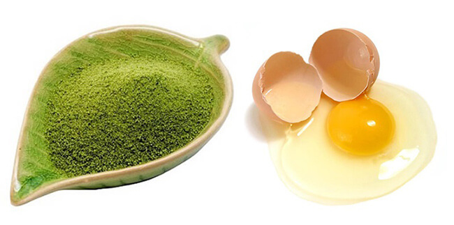Công thức trị nám da bằng bột trà xanh kết hợp cùng lòng trắng trứng gà